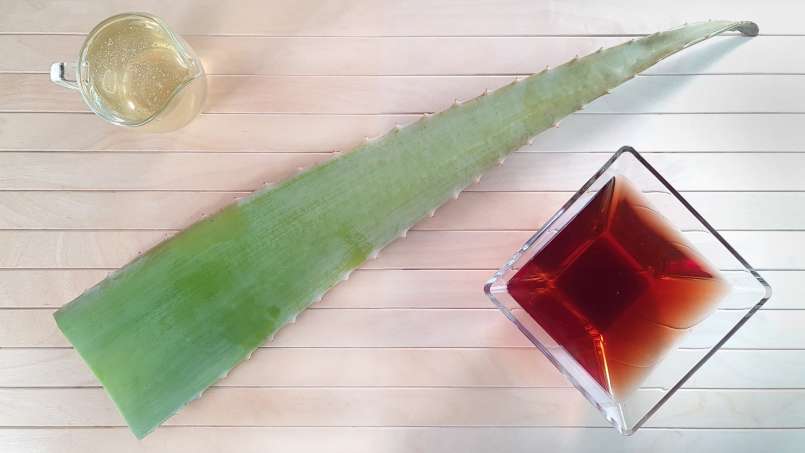 Tonic drink with aloe vera, wine and honey, photo 4