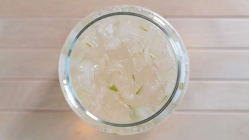 Macerate of Aloe Vera with Honey, photo 4