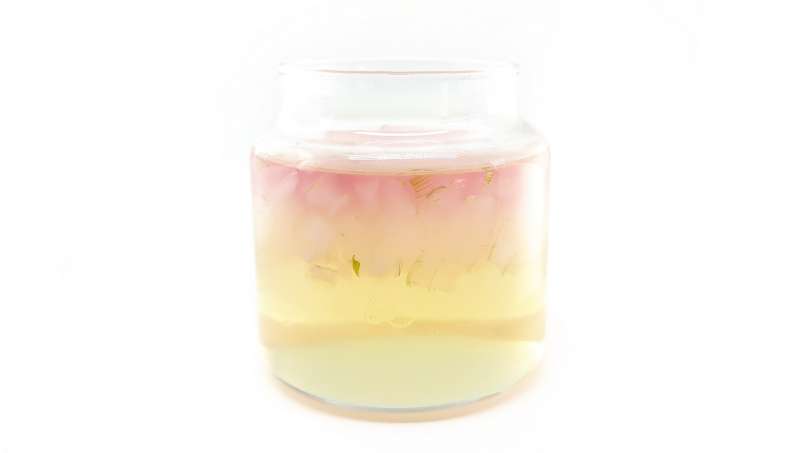 Macerate of Aloe Vera with Honey, photo 14