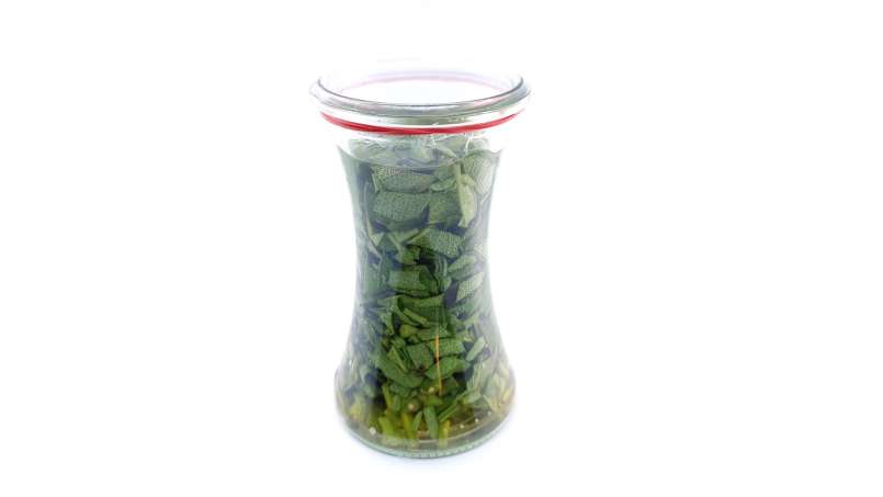 Sage tincture, photo 3