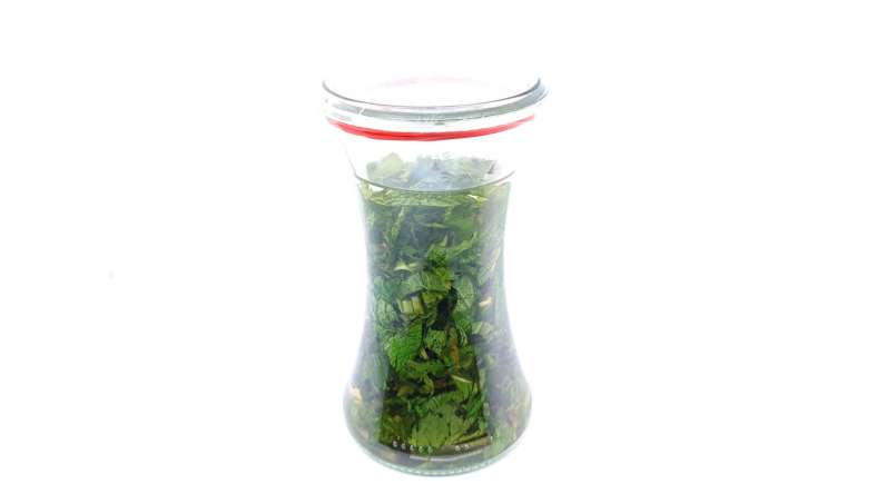Mint tincture, photo 2