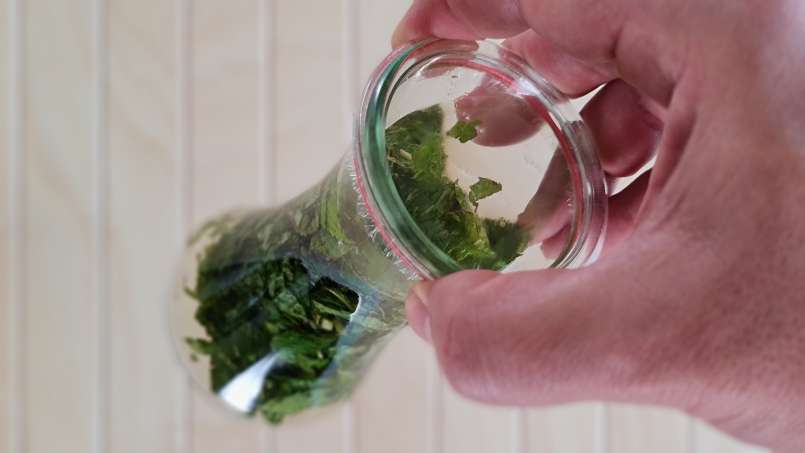 Mint tincture, photo 3