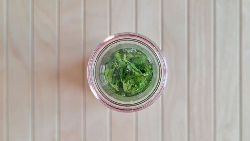 Mint tincture, photo 4