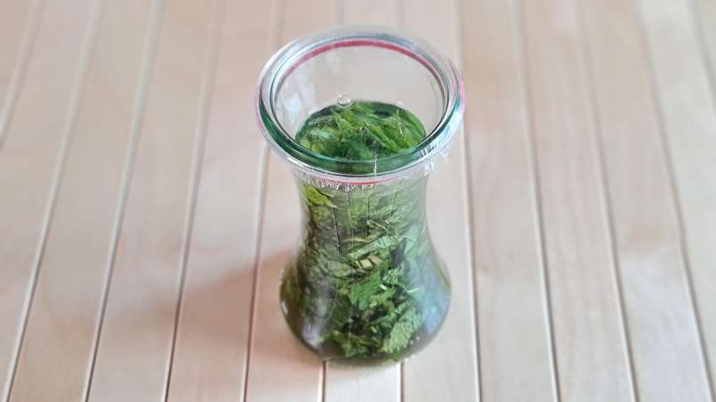 Mint tincture, photo 5