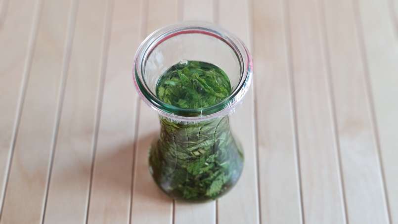 Mint tincture, photo 6