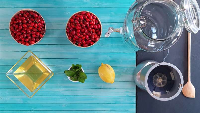 Rosehip cider with honey, lemon and mint, photo 3