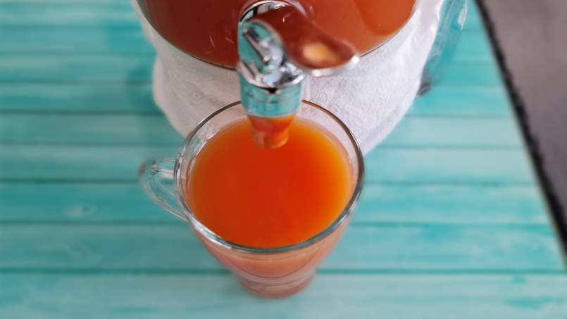 Rosehip cider with honey, lemon and mint, photo 10