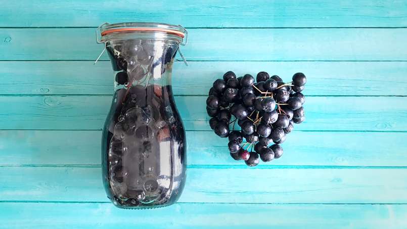Aronia bunches with honey in a jar, photo 2