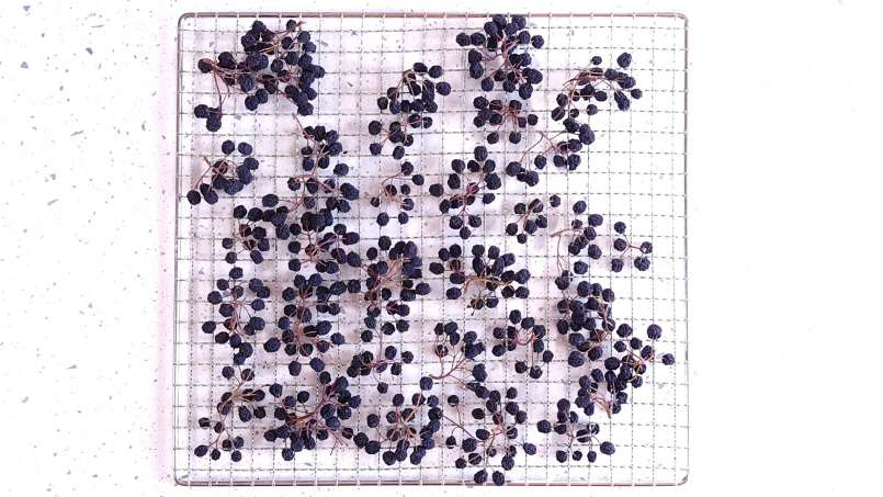 Drying aronia fruits in a dehydrator, photo 2