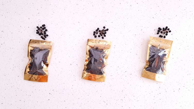 Drying aronia fruits in a dehydrator, photo 11