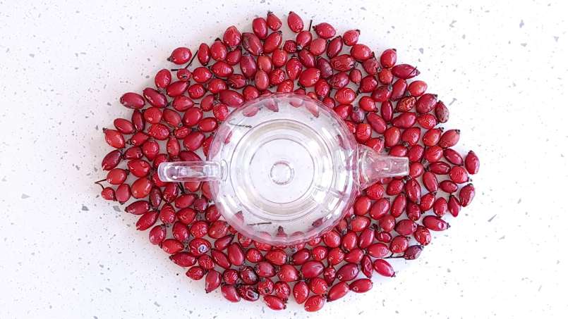 Drying rose hips in a dehydrator for the preparation of rosehip teas or powder, photo 9