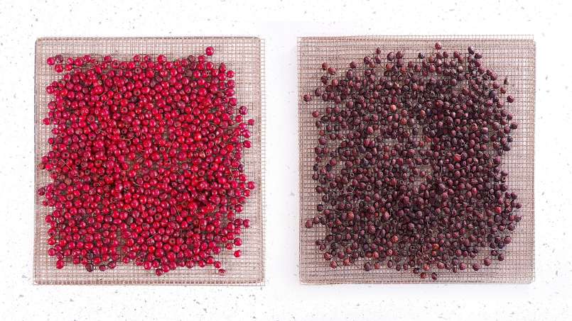 Hawthorn fruit dehydration, for tea, photo 3