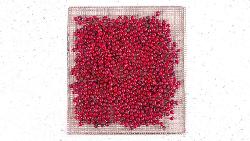 Hawthorn fruit dehydration, for tea, photo 4