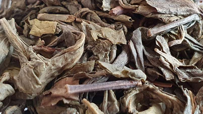 Eye concealer remedy with herbal mix, photo 4