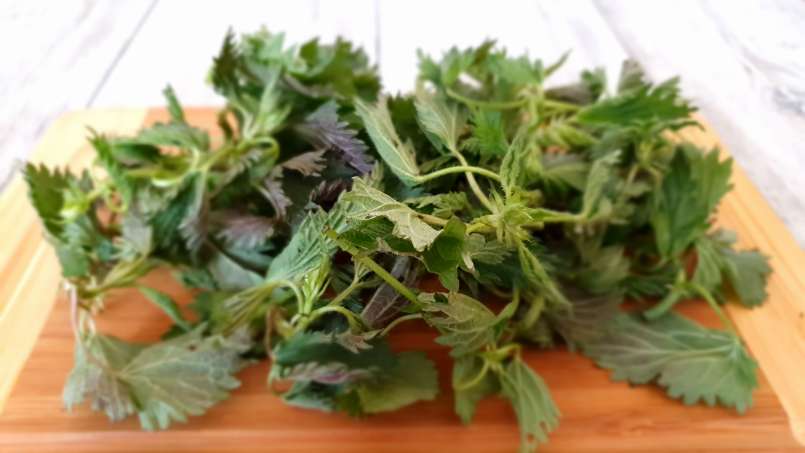Energizing smoothie rich in chlorophyll, photo 9