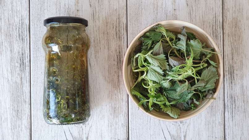 Nettle syrup with honey, photo 3