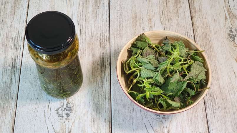 Nettle syrup with honey, photo 4