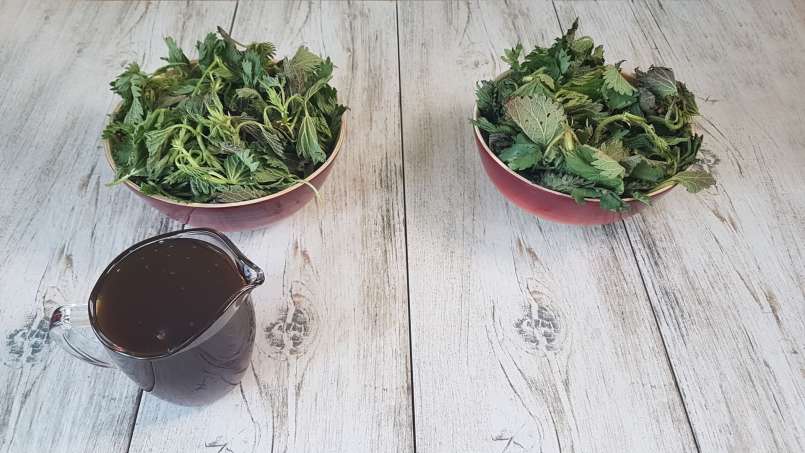Nettle syrup with honey, photo 7