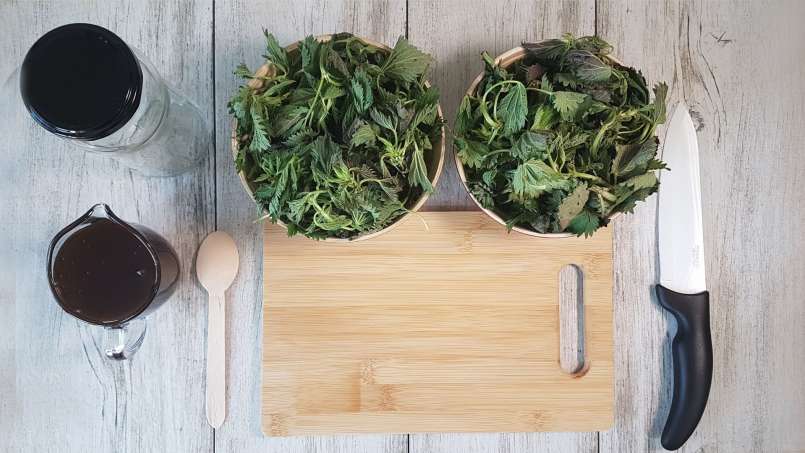Nettle syrup with honey, photo 8