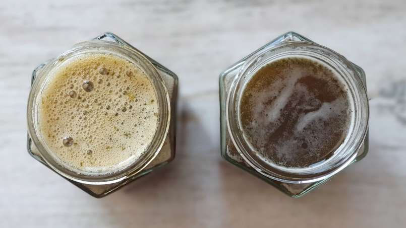 Nettle syrup with honey, photo 14