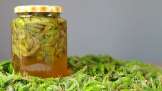 Pine buds macerate with honey
