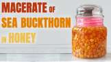 Macerate of sea buckthorn in honey