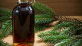 Fir bud syrup