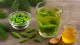 Fir bud boiling for respiratory conditions