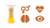 Pine seeds in honey, a natural aphrodisiac
