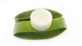 Cream of Aloe Vera and Coconut Butter