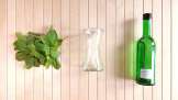 Mint tincture