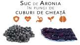 Aronia juice in ice cubes bags
